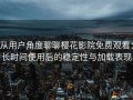 从用户角度聊聊樱花影院免费观看：长时间使用后的稳定性与加载表现