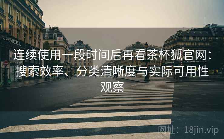连续使用一段时间后再看茶杯狐官网：搜索效率、分类清晰度与实际可用性观察-第1张图片