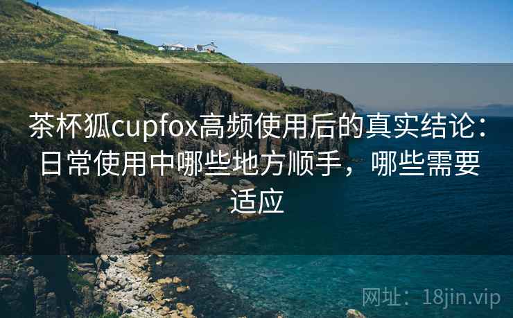茶杯狐cupfox高频使用后的真实结论：日常使用中哪些地方顺手，哪些需要适应-第2张图片