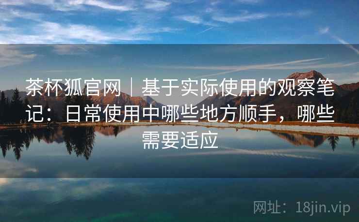 茶杯狐官网｜基于实际使用的观察笔记：日常使用中哪些地方顺手，哪些需要适应-第2张图片