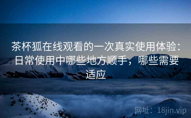 茶杯狐在线观看的一次真实使用体验：日常使用中哪些地方顺手，哪些需要适应-第2张图片