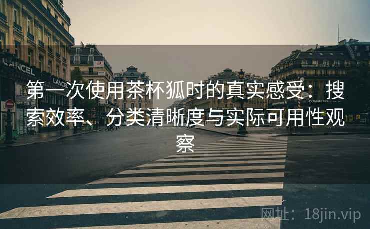 第一次使用茶杯狐时的真实感受：搜索效率、分类清晰度与实际可用性观察-第1张图片