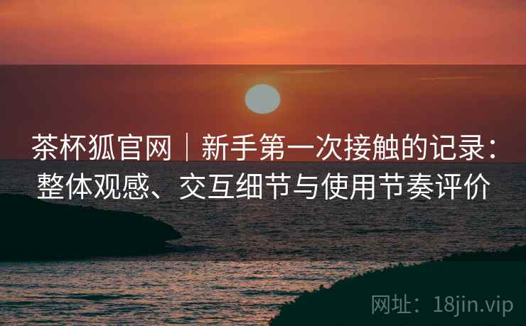 茶杯狐官网｜新手第一次接触的记录：整体观感、交互细节与使用节奏评价-第2张图片